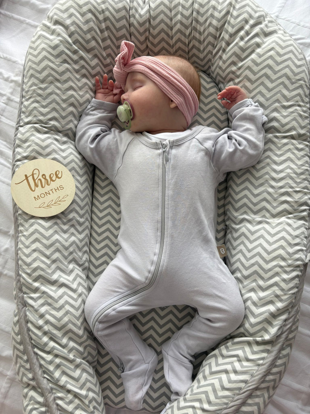 Baby Milestone Discs